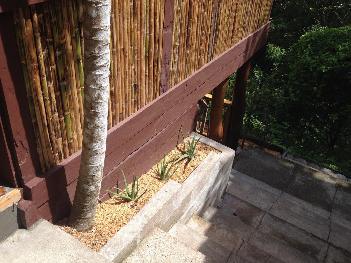 לה לגונה Mamallena Eco Lodge מראה חיצוני תמונה